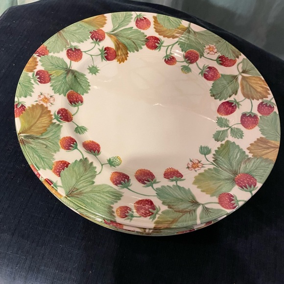 Wild Berry Six Dinner Plates by Royal Stafford 10-7/8” England